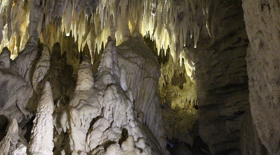 Gua Waitomo di Selandia Baru dengan Cahaya Glowing Worm yang Magis